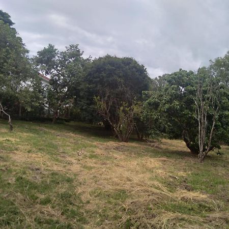 Villa Casa Delicia Em Passa Quatro Ate 6 Pessoas Esterno foto