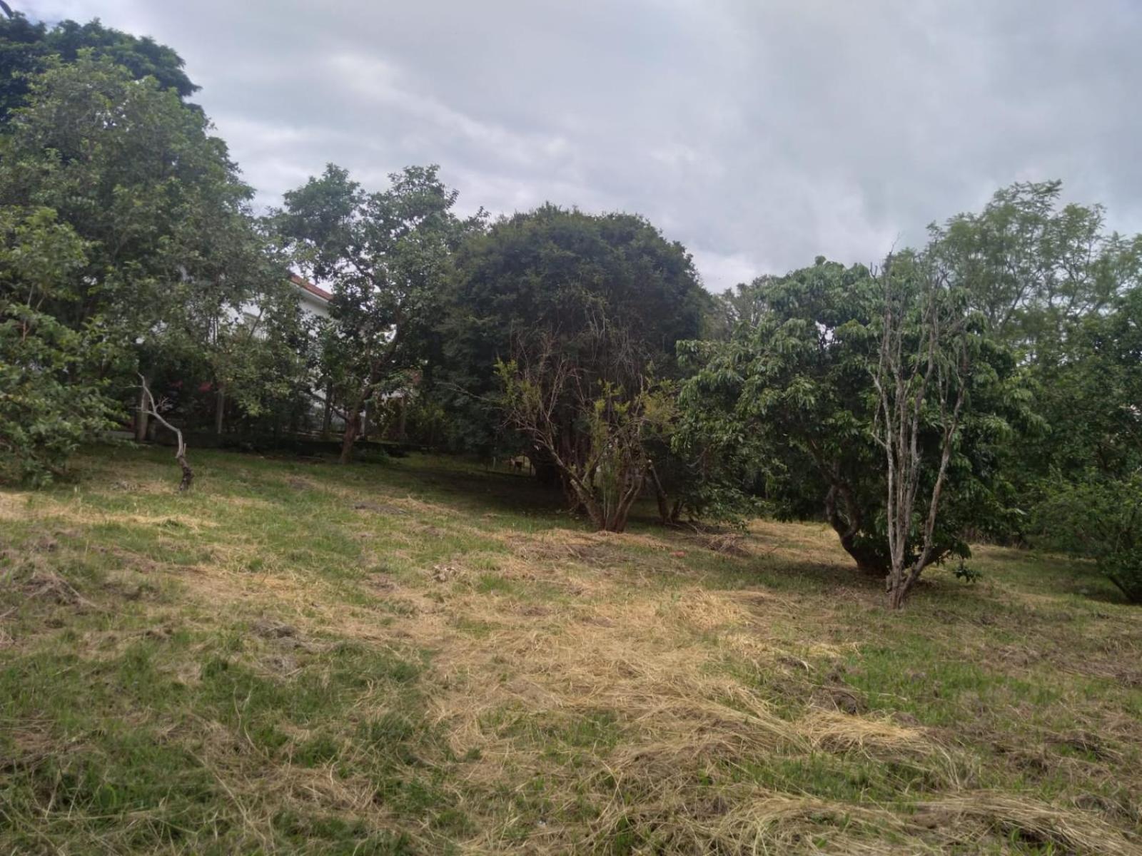 Villa Casa Delicia Em Passa Quatro Ate 6 Pessoas Esterno foto