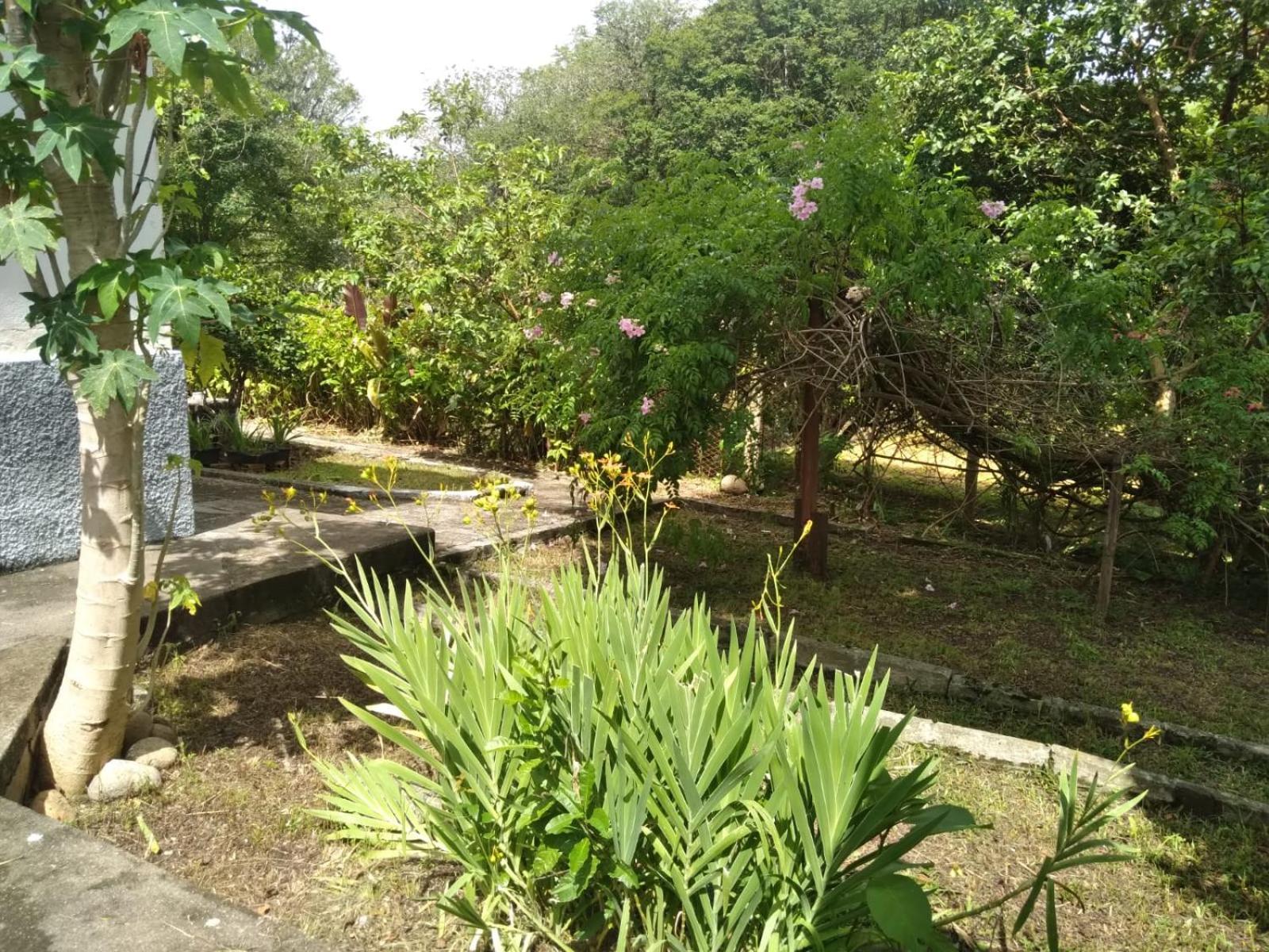Villa Casa Delicia Em Passa Quatro Ate 6 Pessoas Esterno foto