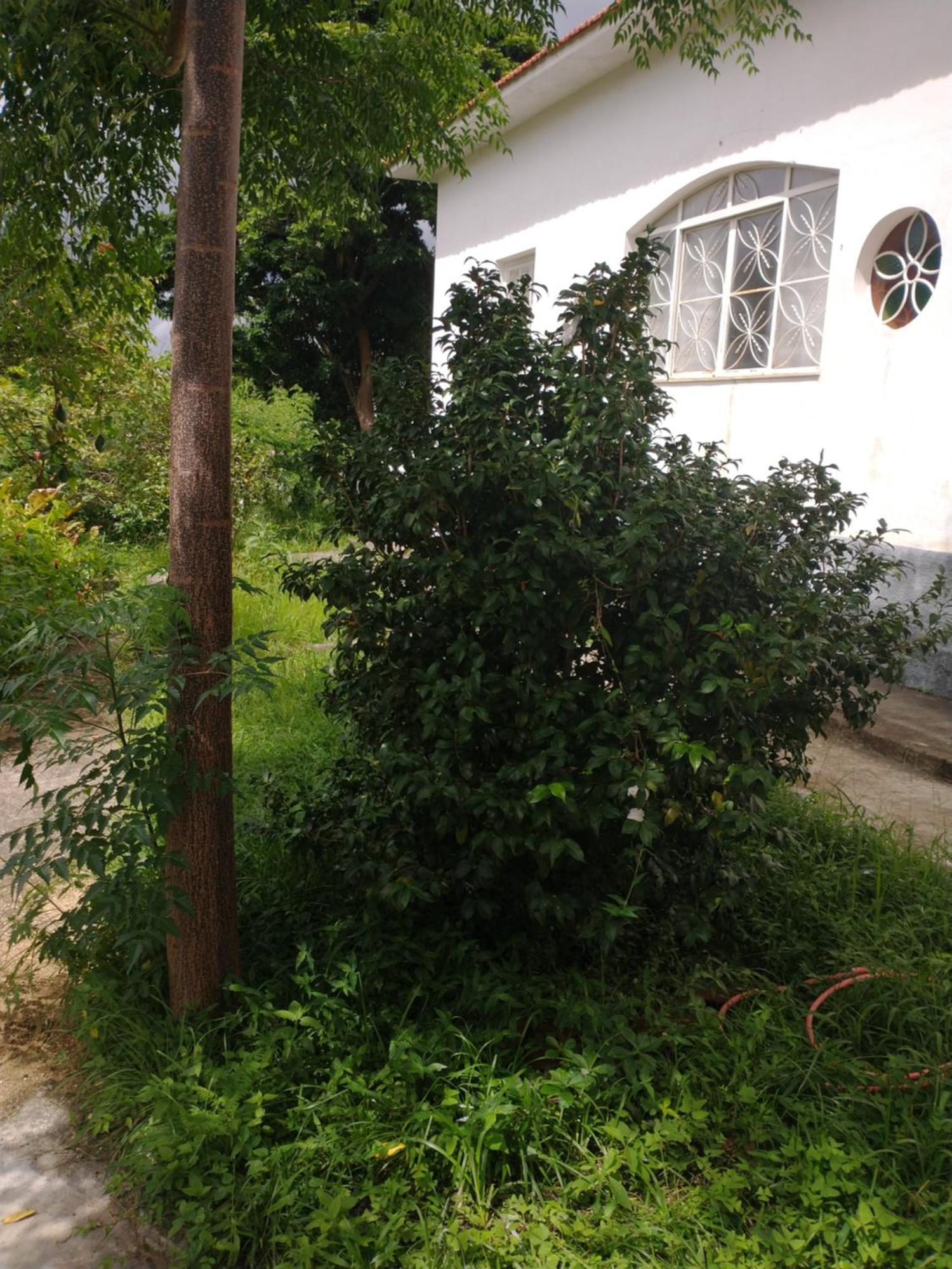 Villa Casa Delicia Em Passa Quatro Ate 6 Pessoas Esterno foto